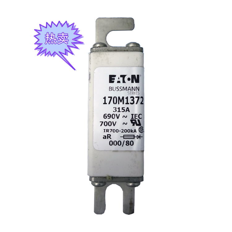 快速熔斷器170M1372（315A）