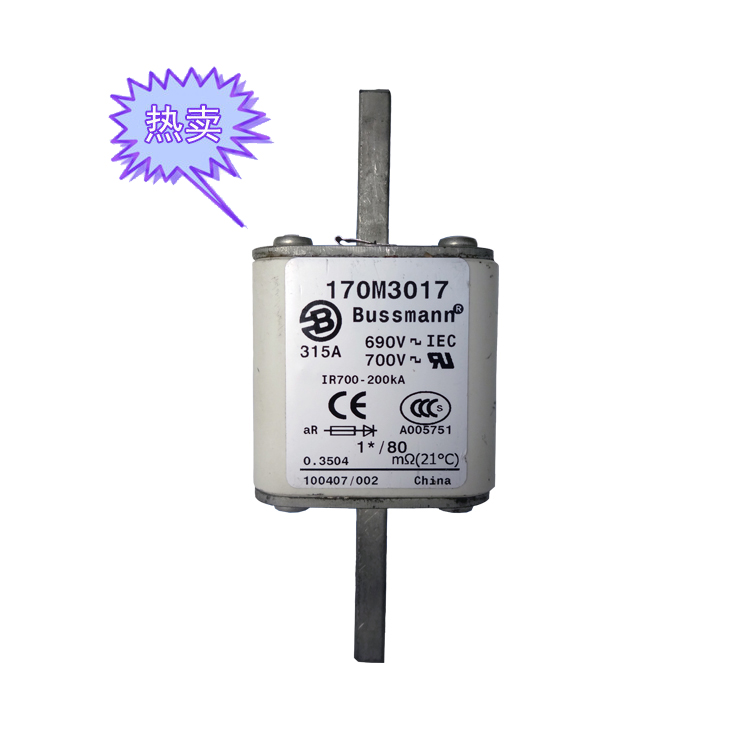 快速熔斷器170M3017（315A）