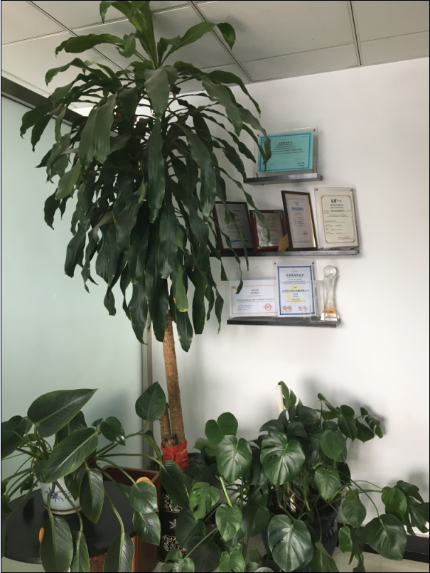 品牌授權(quán)證書展示區(qū) 品牌授權(quán)證書展示區(qū)