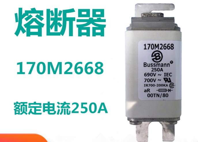 保險(xiǎn)絲的組成部分 170M2668 保險(xiǎn)絲的組成部分 170M2668